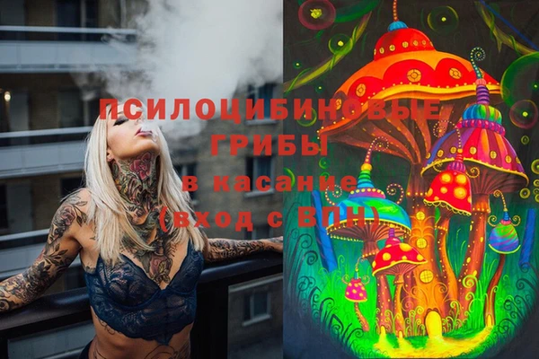 ECSTASY Баксан